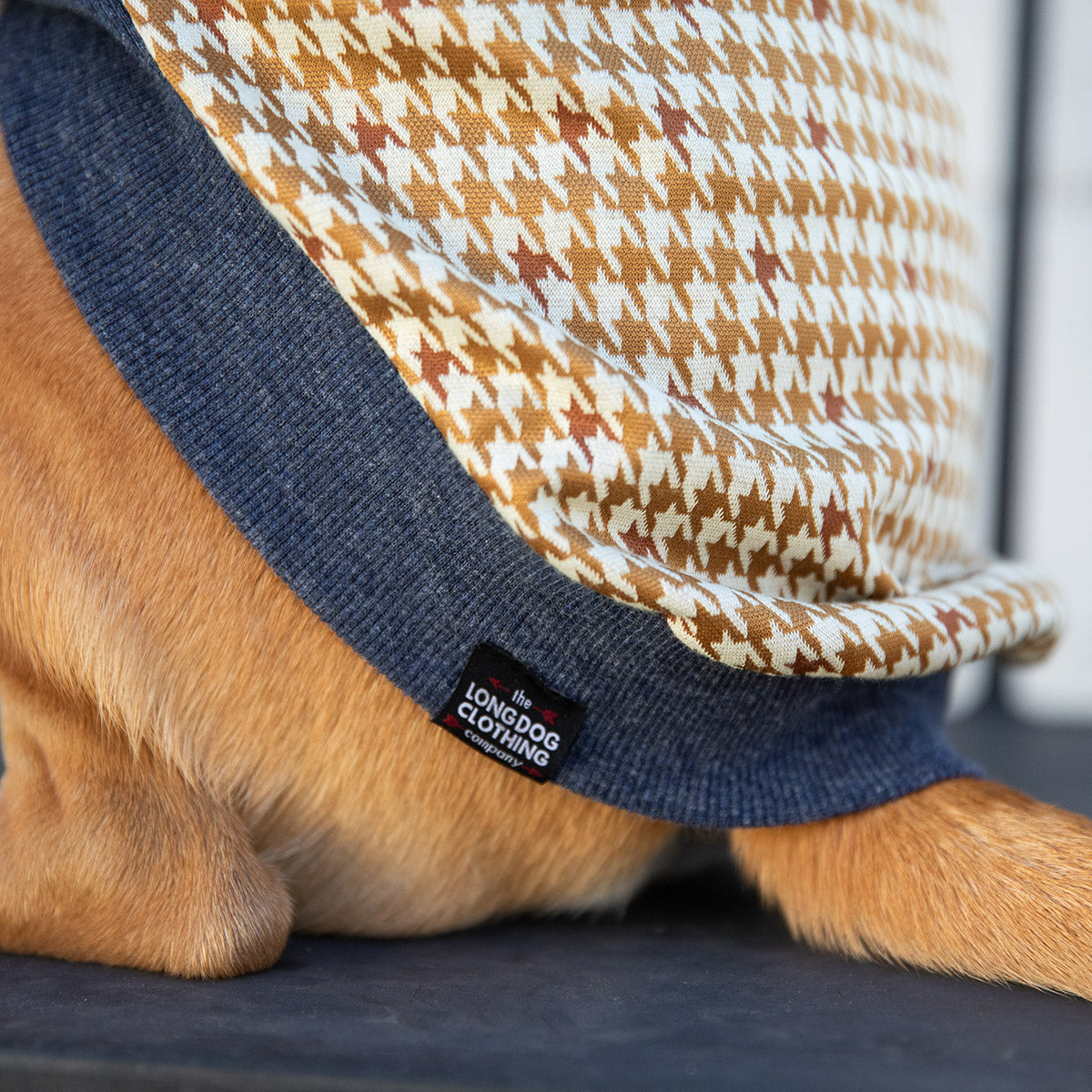 The Camelback The Long Dog Clothing Co.