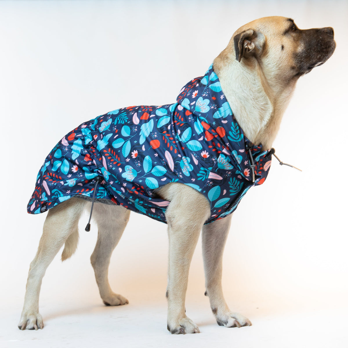 The Twilight Raincoat The Long Dog Clothing Co.