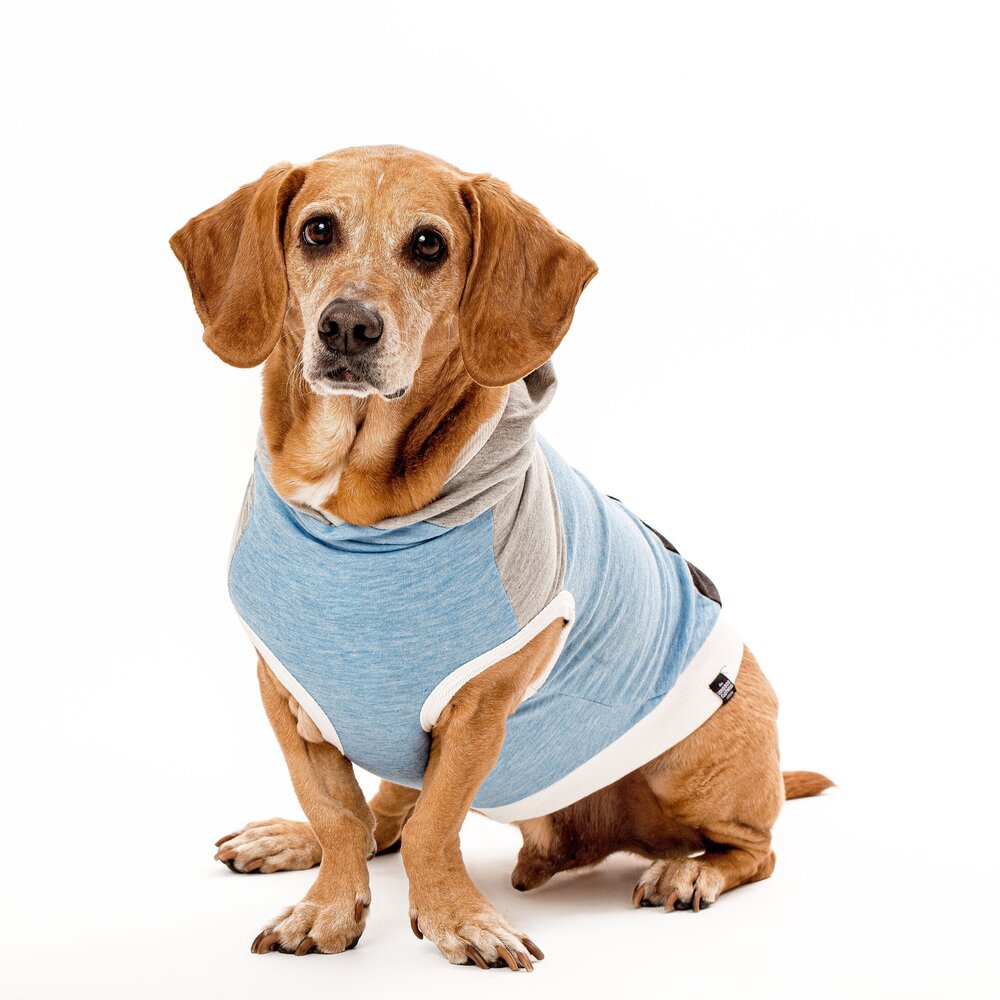 The Skater II (Clearance) The Long Dog Clothing Co.