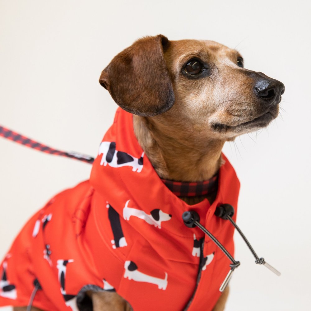 The Low Rider RED Raincoat (Clearance) The Long Dog Clothing Co.