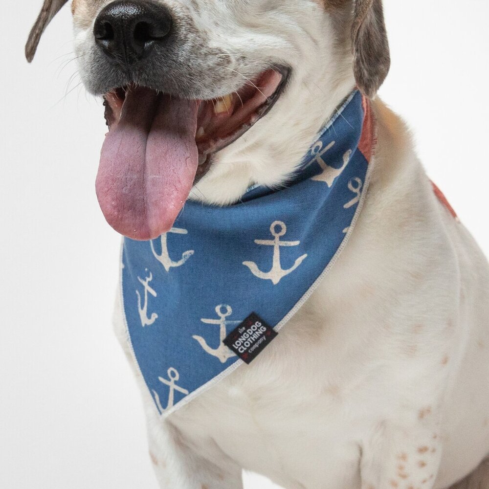 The Nautical The Long Dog Clothing Co.