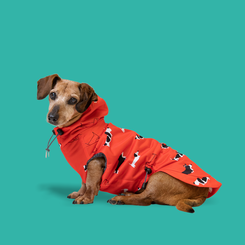 The Low Rider (RED) - Raincoat