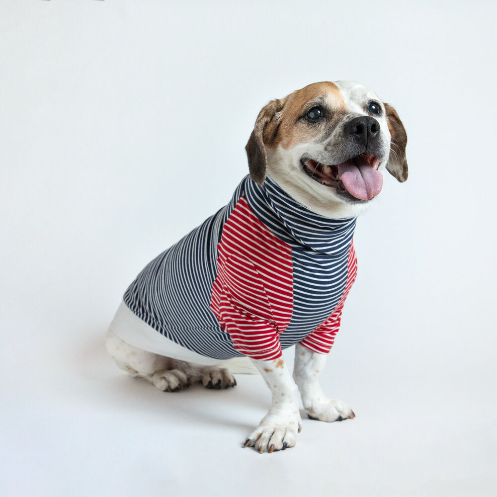 The Americana The Long Dog Clothing Co.