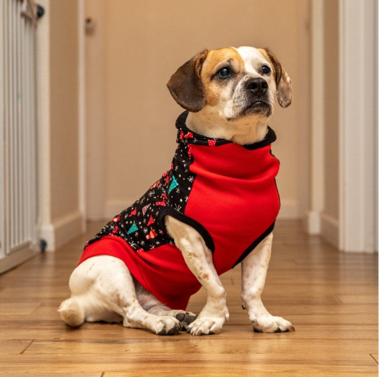 The Wonderland (Clearance) The Long Dog Clothing Co.