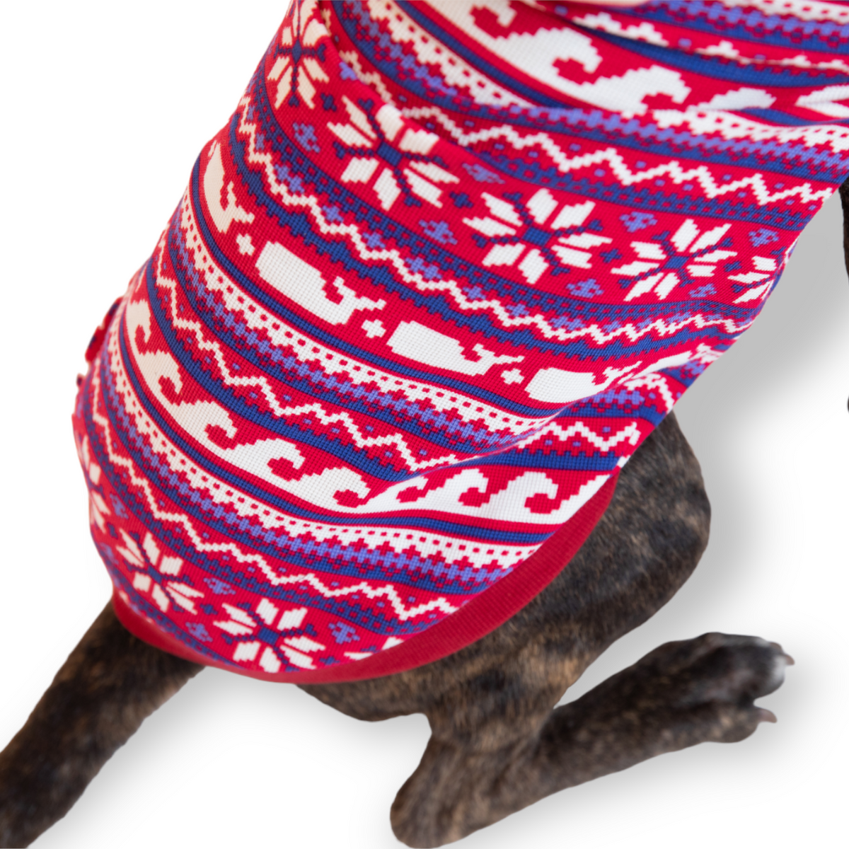 The Winter Whale The Long Dog Clothing Co.