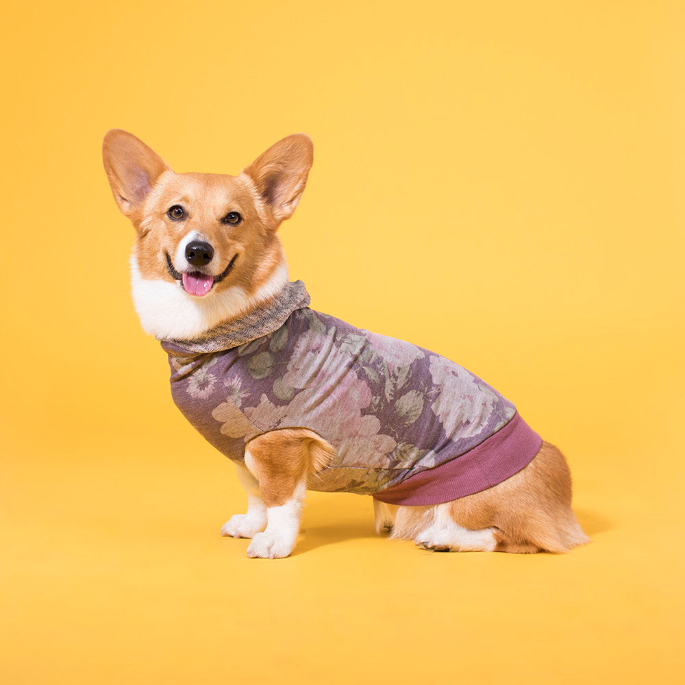 The Midge (reversible) The Long Dog Clothing Co.