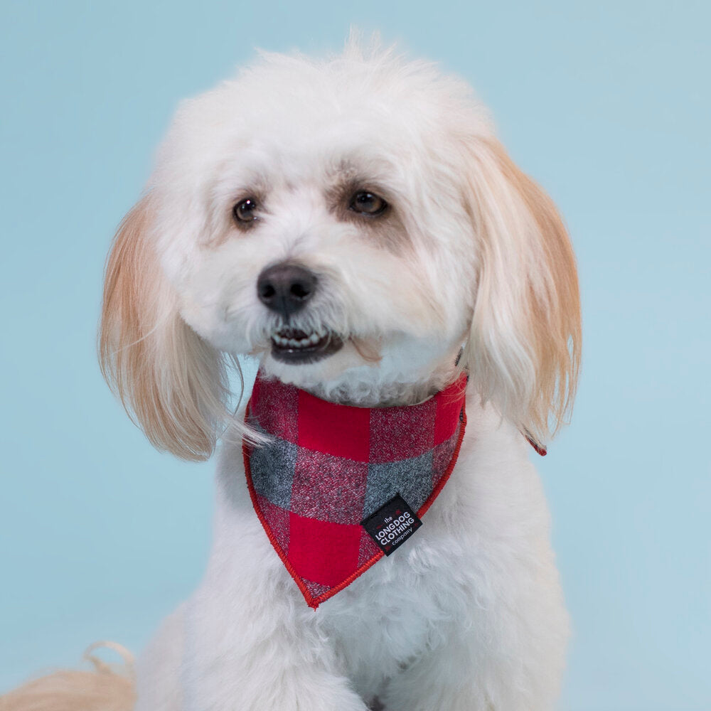 The Buffalo The Long Dog Clothing Co.