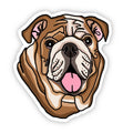 English Bulldog Vinyl Sticker