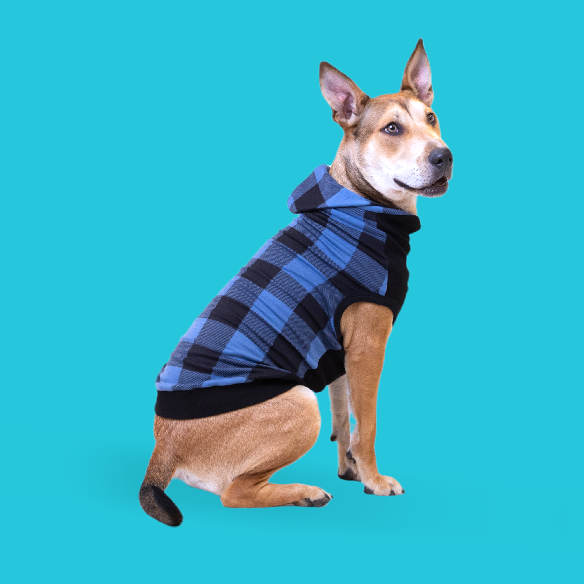 III. Factors to Consider when Choosing Dog Clothing