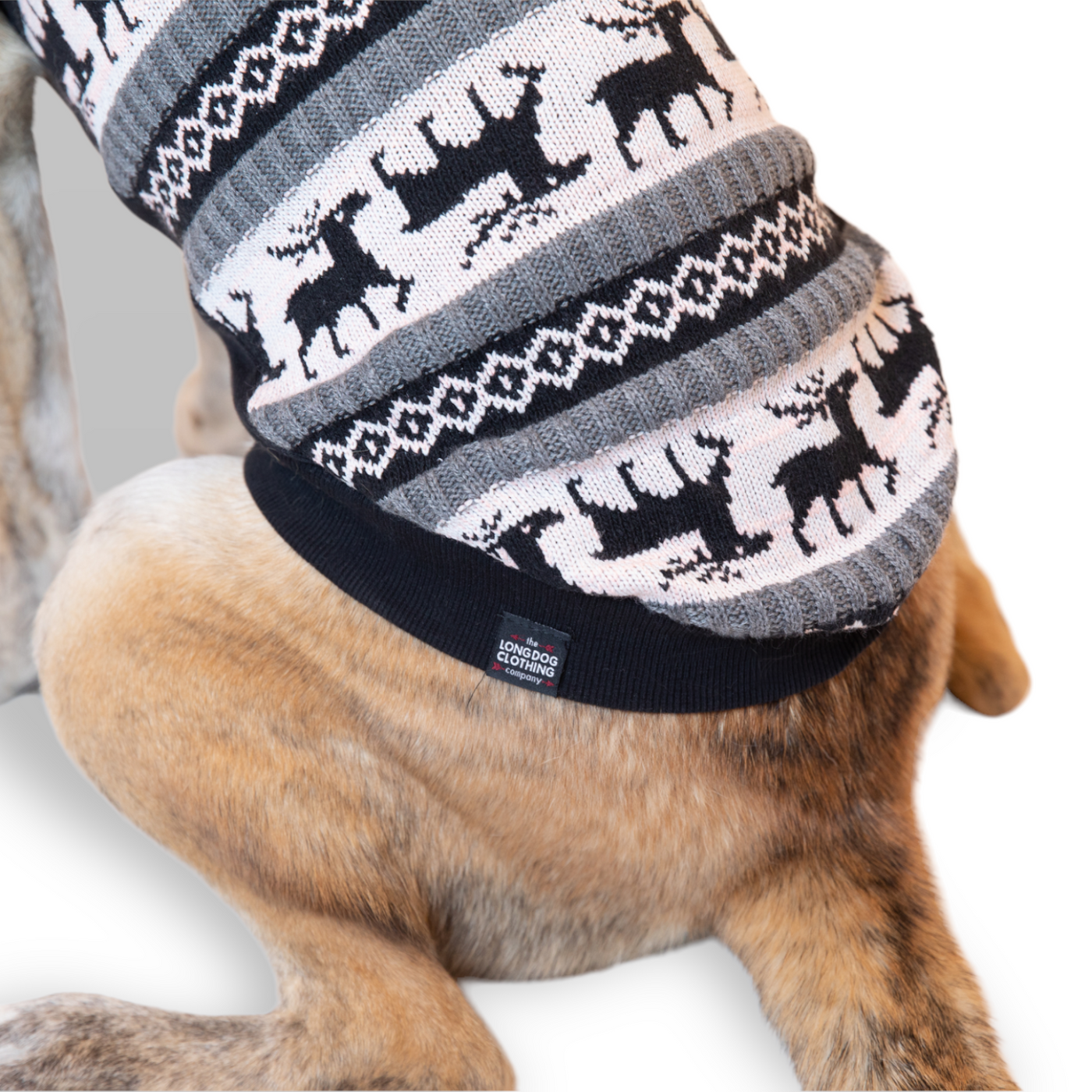 Long dog online clothing co