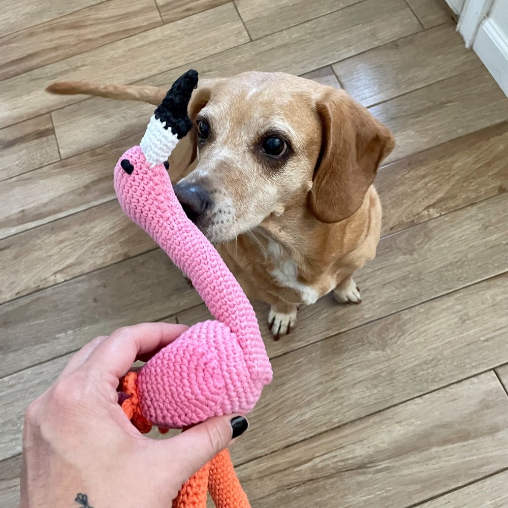 Hand Crochet Flamingo (Ware of the Dog)