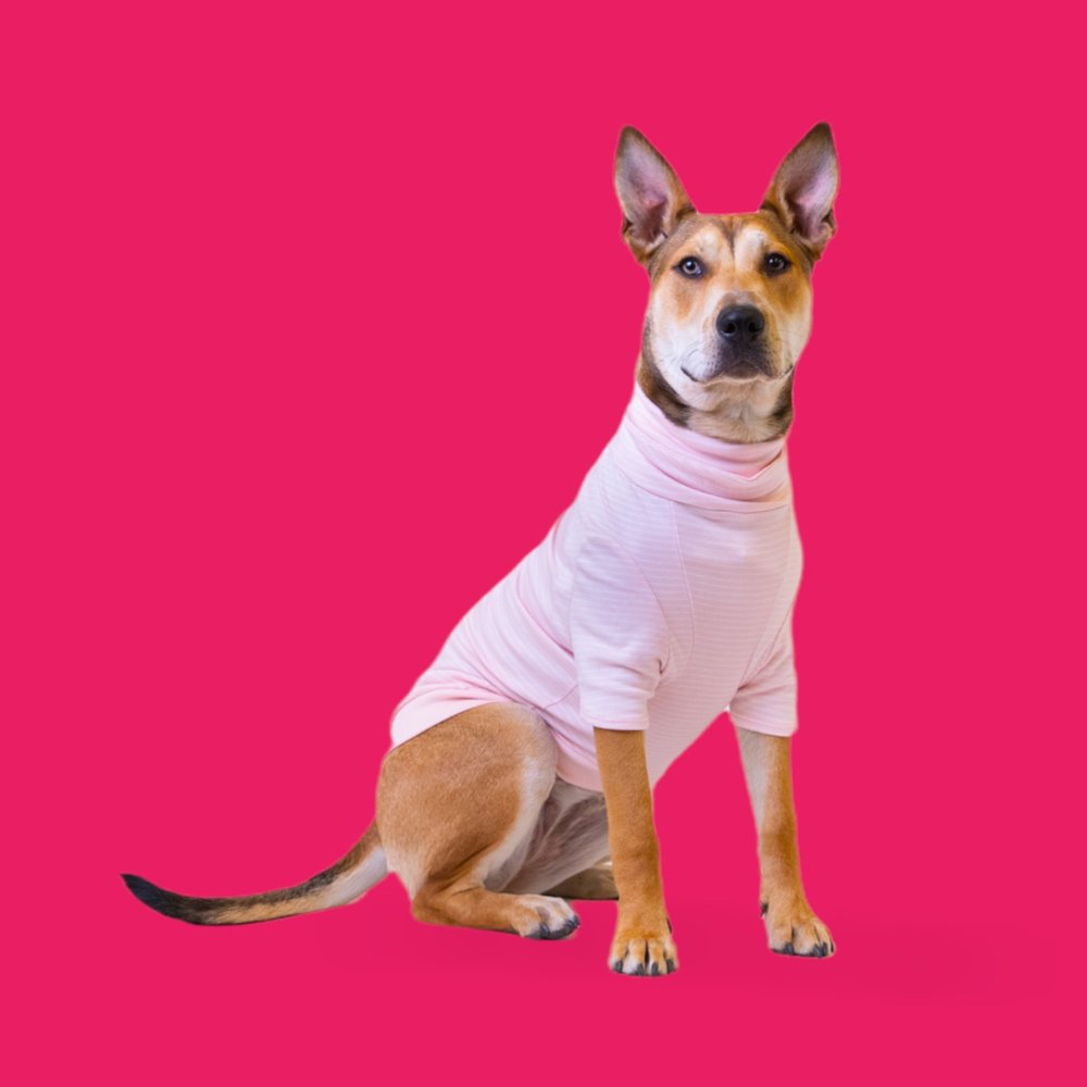 Wholesale Pet Accessories Fashion Designer Dog Clothes