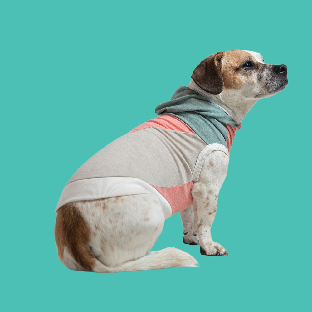 Long sales dog clothes