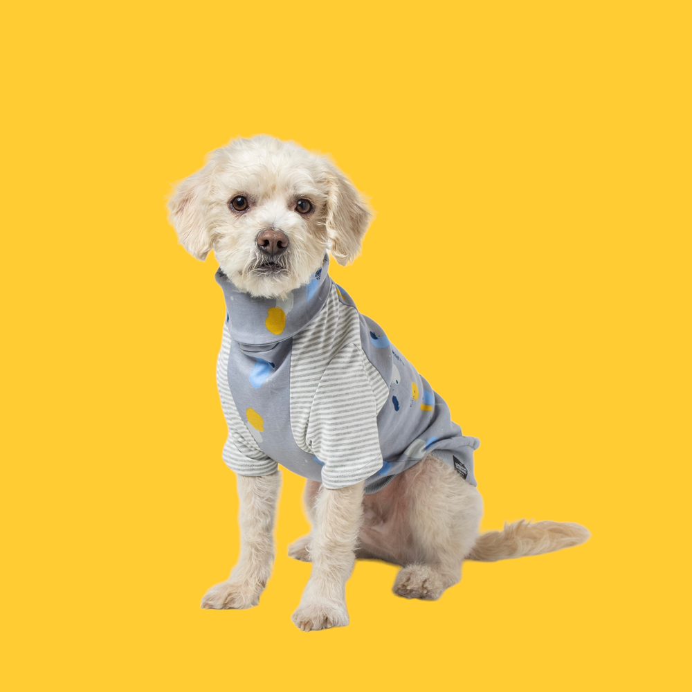 Gold leather dog jacket Custom made dog dress Designer dog