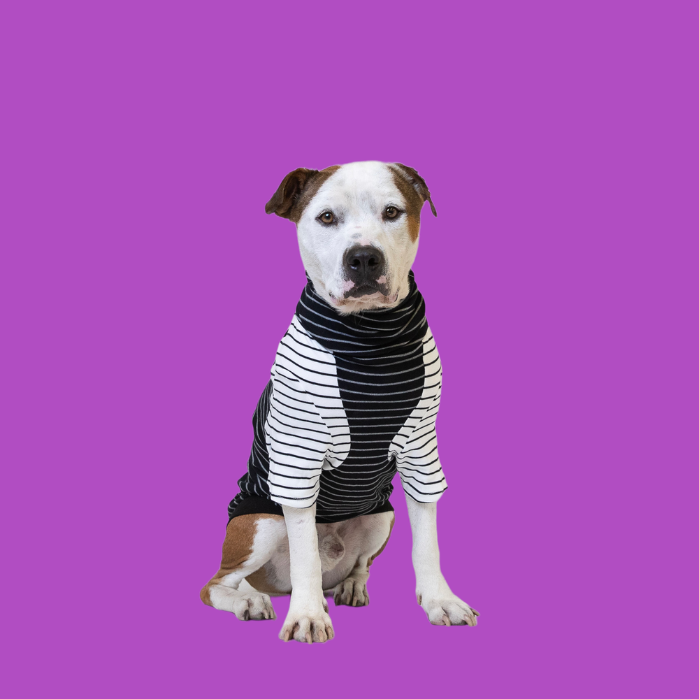 The long dog clearance clothing company