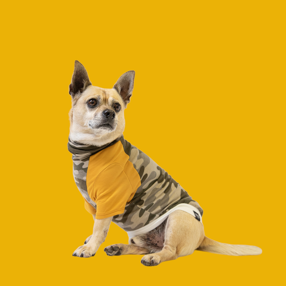 Clearance dog clothes best sale