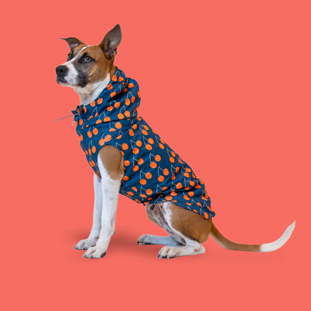 Fuzzyard raincoat hot sale