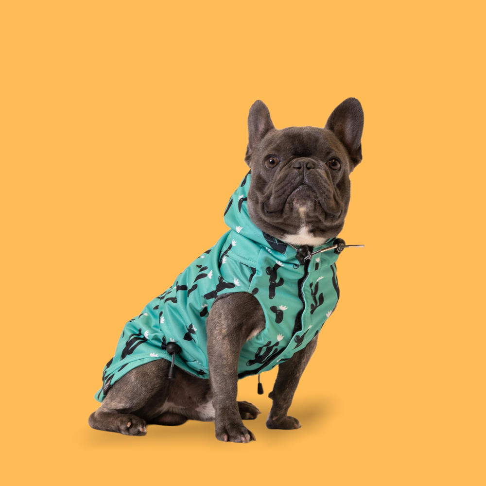 Dog show online clothes for sale