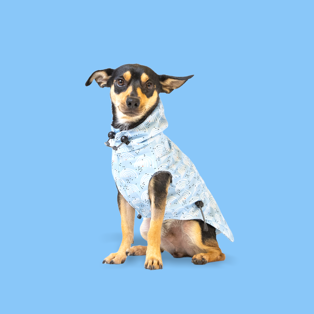 Rainbow rainwear shop