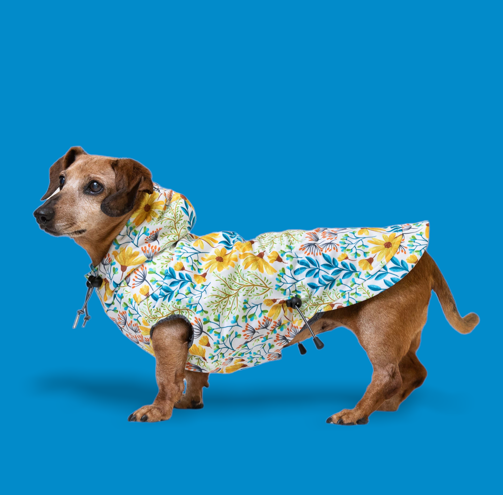 Daisy raincoat hotsell