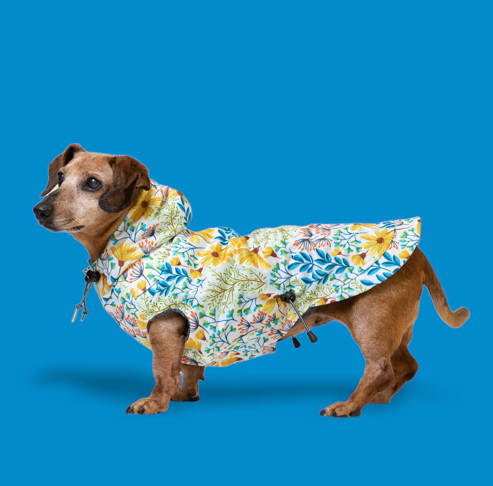 #2 Long Dog Clothing Company Raincoat