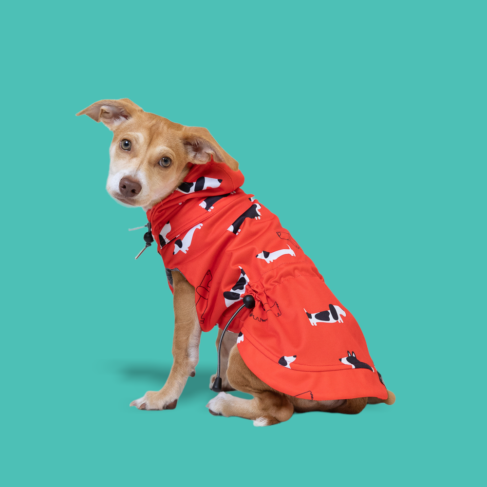 Red 2025 dog raincoat