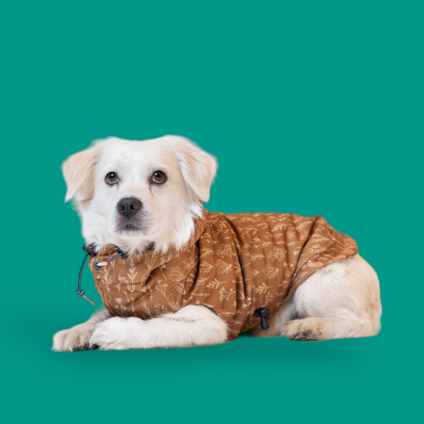 Raincoat woodland sales