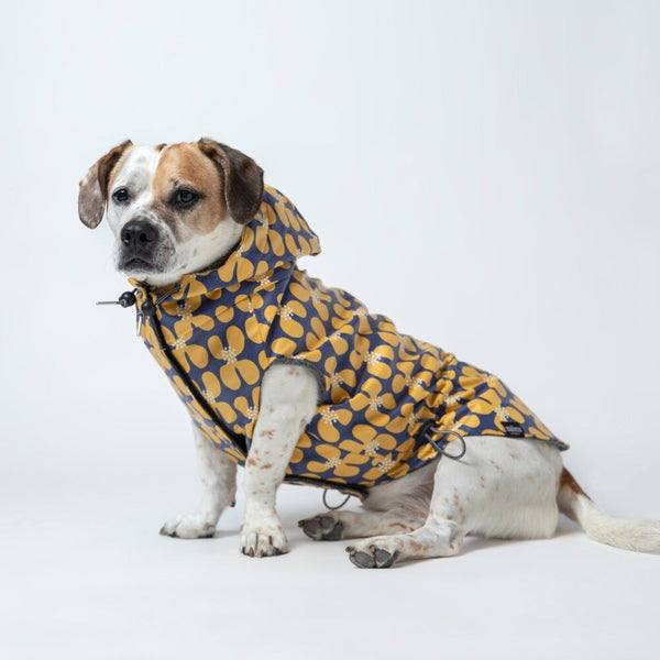 The Poppy - Raincoat (Clearance) – The Long Dog Clothing Co.