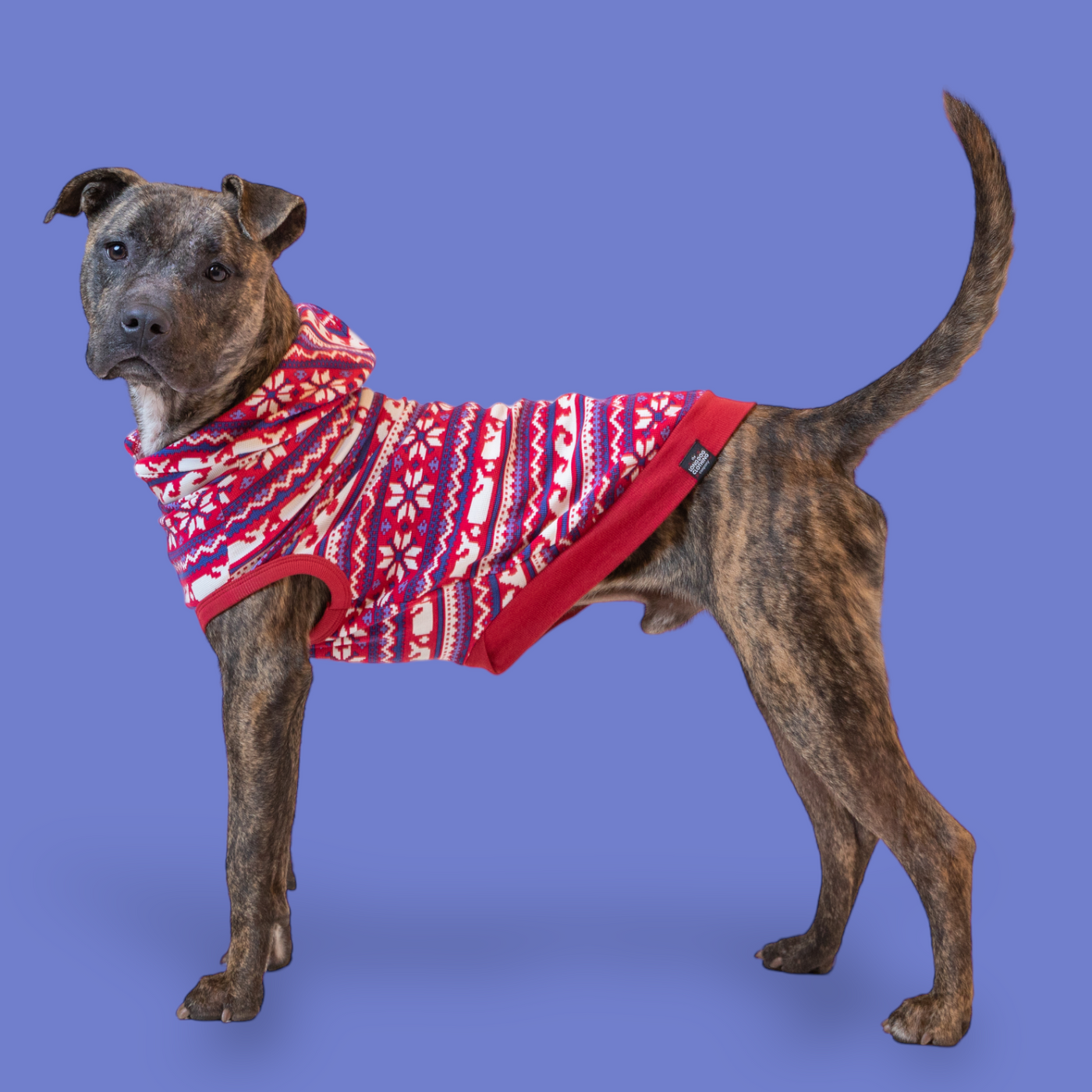 The Winter Whale The Long Dog Clothing Co