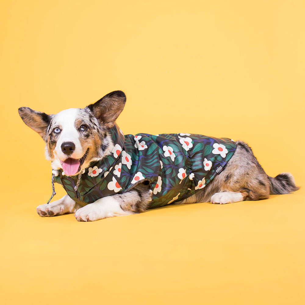 The Blossom - Raincoat (Clearance)