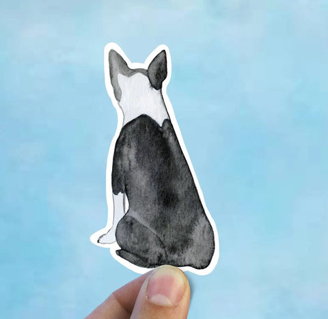 Boston Terrier Vinyl Sticker